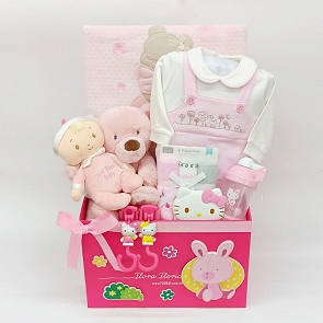 B312 Baby Girl Hamper